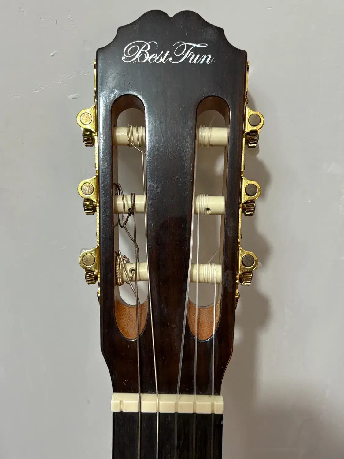 گیتار|گیتار، بیس، امپلیفایر|شهریار, شهریار|دیوار