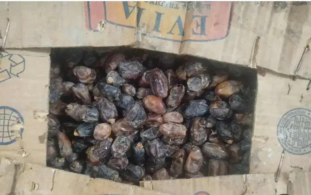 خرما کارتن موزی|عمدهفروشی|وحدتیه, |دیوار