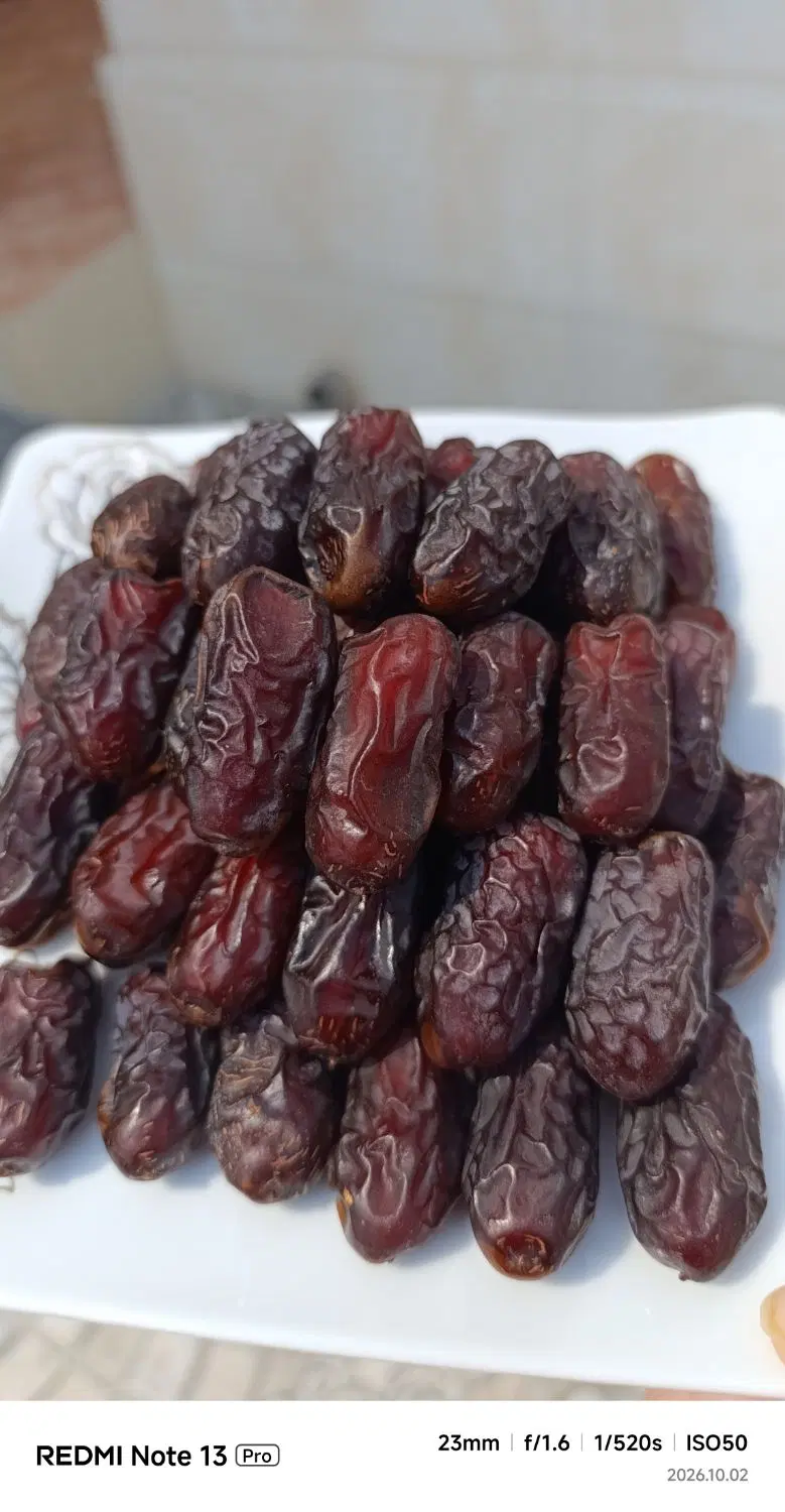 رطب|حراج|برازجان, |دیوار