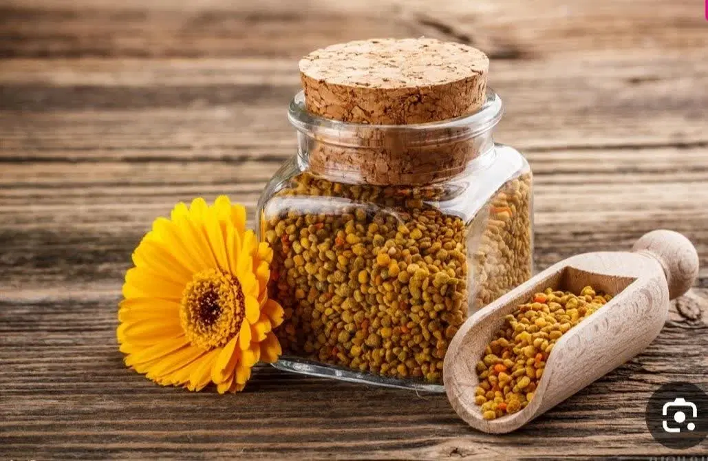 گرده گل|خوردنی و آشامیدنی|نیشابور, مازول|دیوار