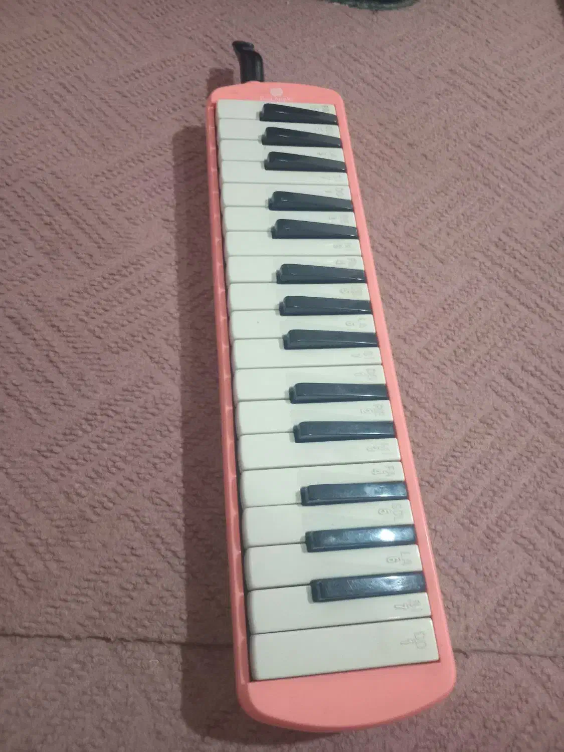 مولودیکا|پیانو، کیبورد، آکاردئون|بندر ترکمن, |دیوار