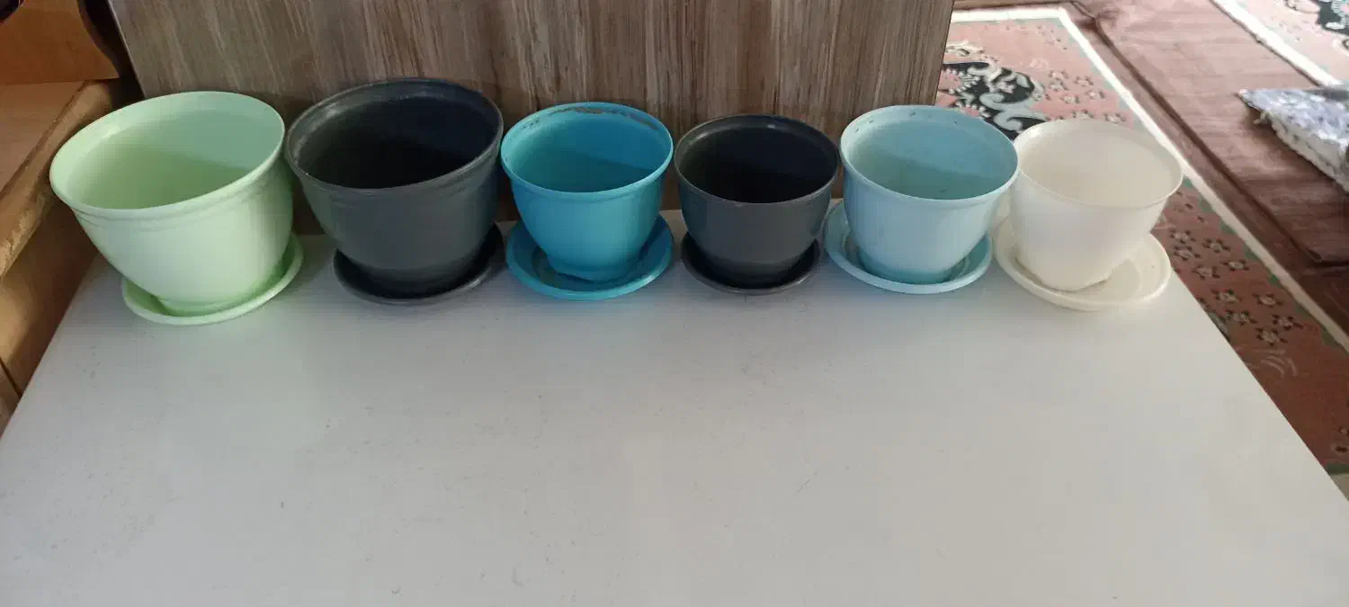 گلدان پلاستیکی|گل و گیاه طبیعی|تهران, مسعودیه|دیوار