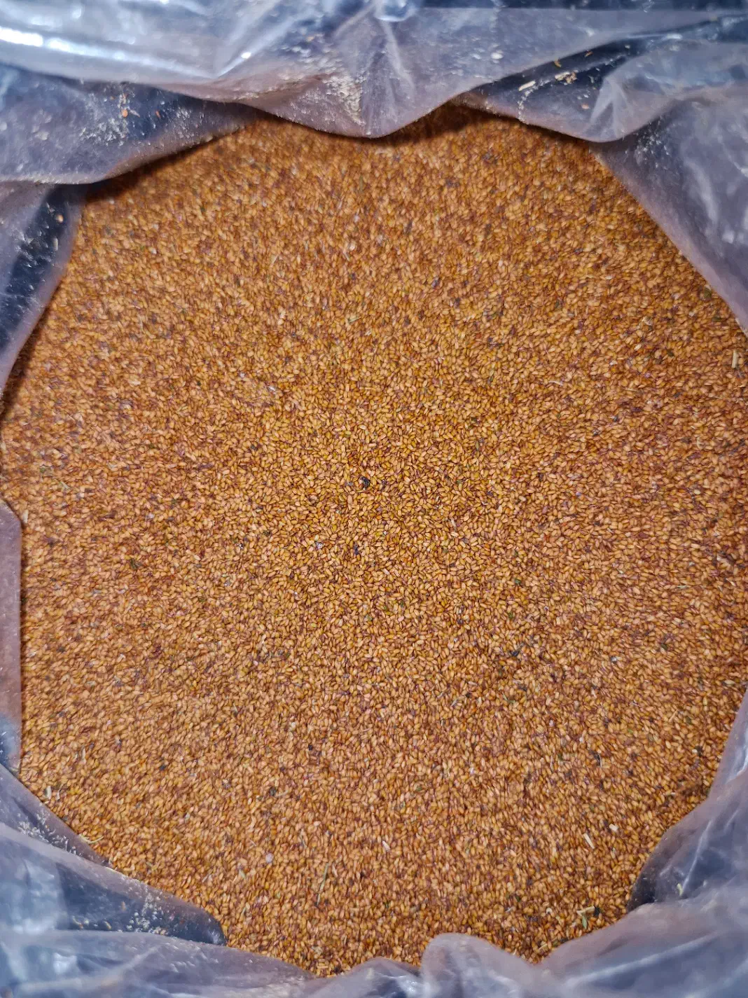 خاکشیر داورزن|خوردنی و آشامیدنی|دامغان, |دیوار