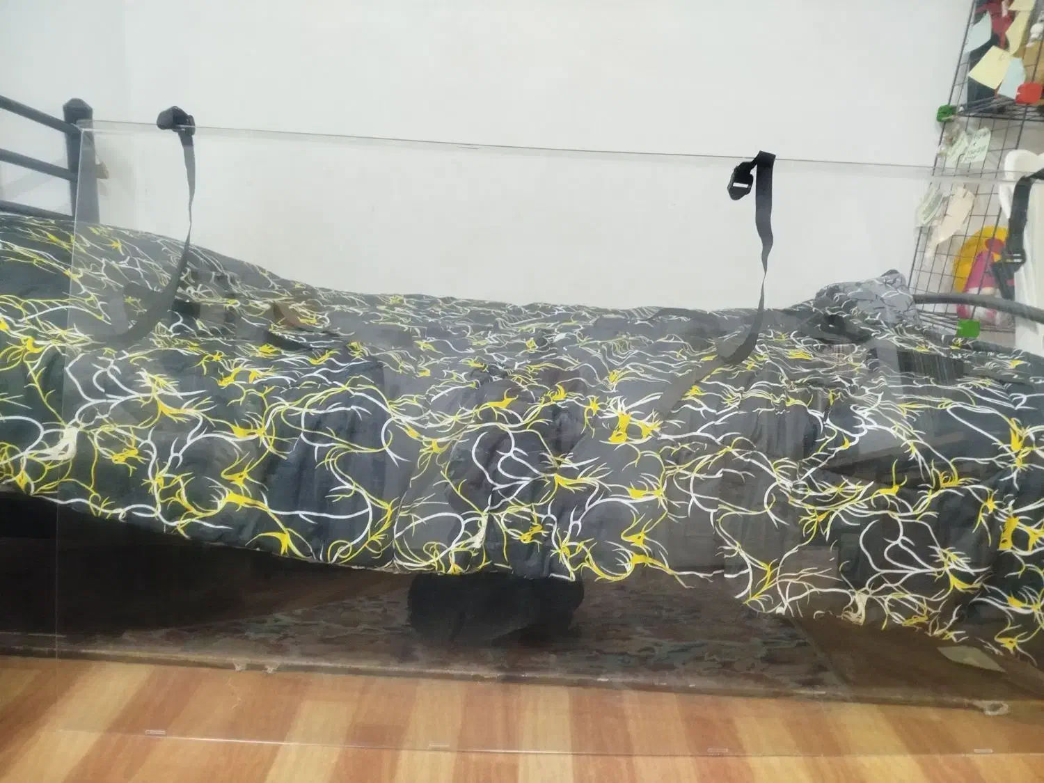 محافظ صفحه تلویزیون۶۵|تلویزیون و پروژکتور|بروجرد, |دیوار