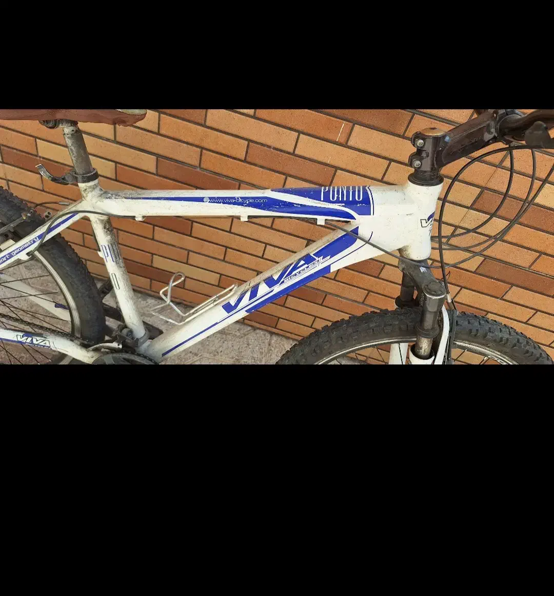 دوچرخه|دوچرخه، اسکیت، اسکوتر|مشهد, فاطمیه|دیوار