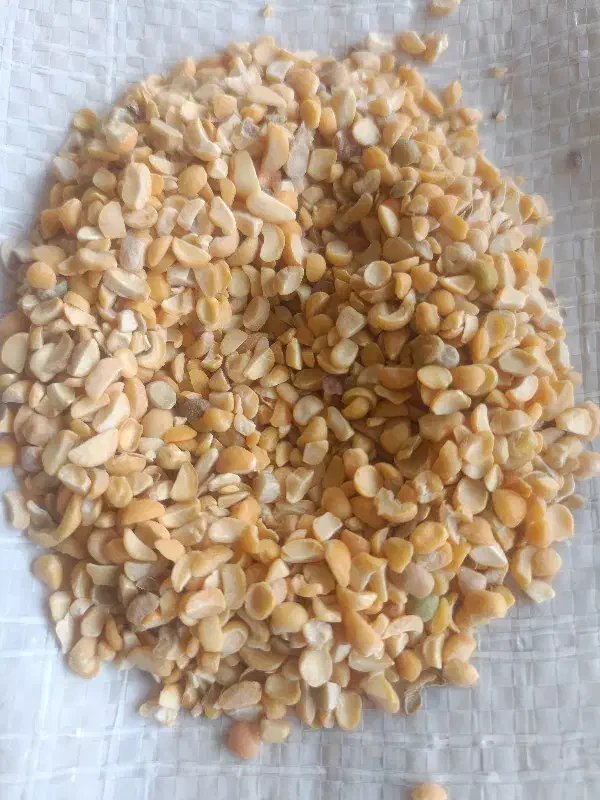 لپه درجه ۲|عمدهفروشی|آذرشهر, |دیوار