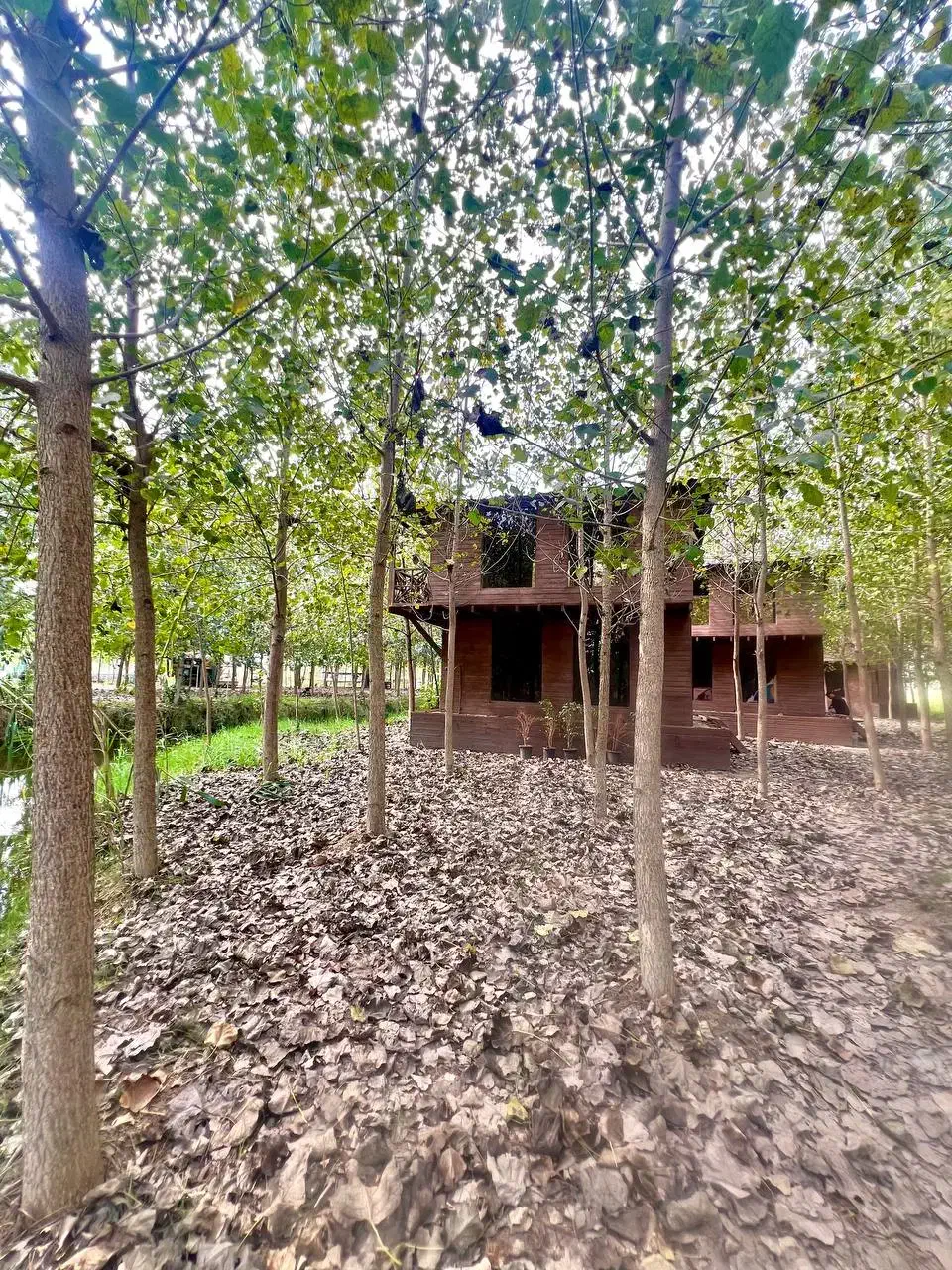 ویلا مجموعه شهرکی|فروش خانه و ویلا|اردکان, |دیوار