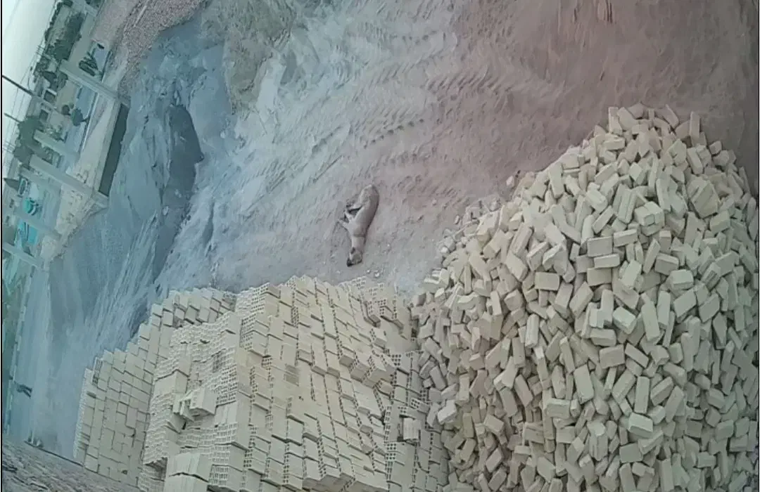 مصالح ساختمانی|مصالح و تجهیزات ساختمان|فولادشهر, A6|دیوار