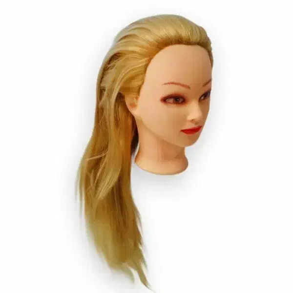 فروش سر مانکن|آرایشی، بهداشتی، درمانی|آباده, |دیوار