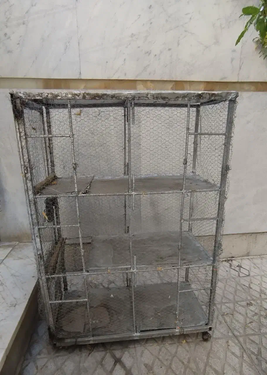 قفس پرنده|لوازم جانبی حیوانات|اصفهان, سروستان|دیوار