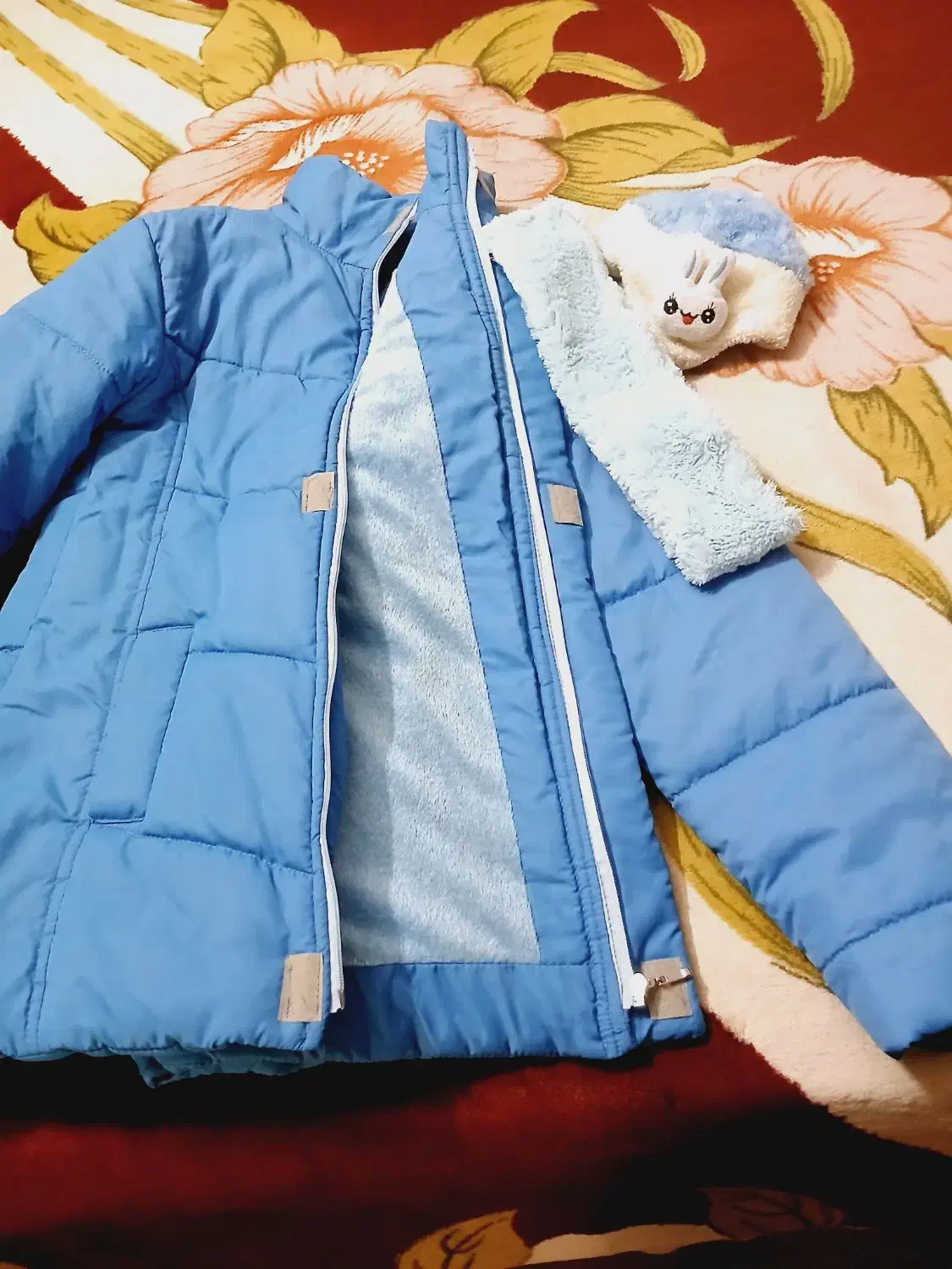 کاپشن|لباس|مشهد, گلبرگ شمالی|دیوار