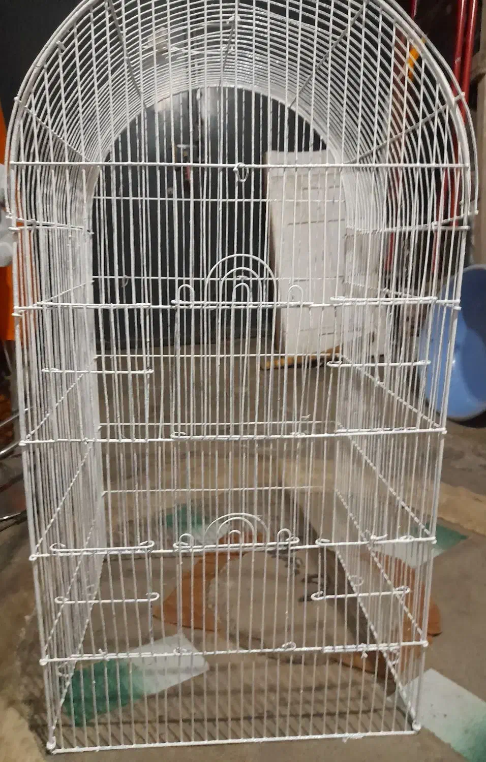 قفس بزرگ|پرنده|رشت, ولکس|دیوار