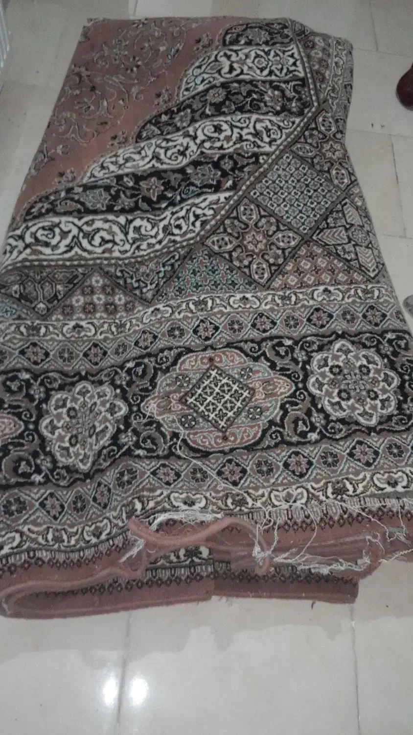 فرش قفس پایه آهنی|فرش|گلبهار, شهر جدید گلبهار|دیوار