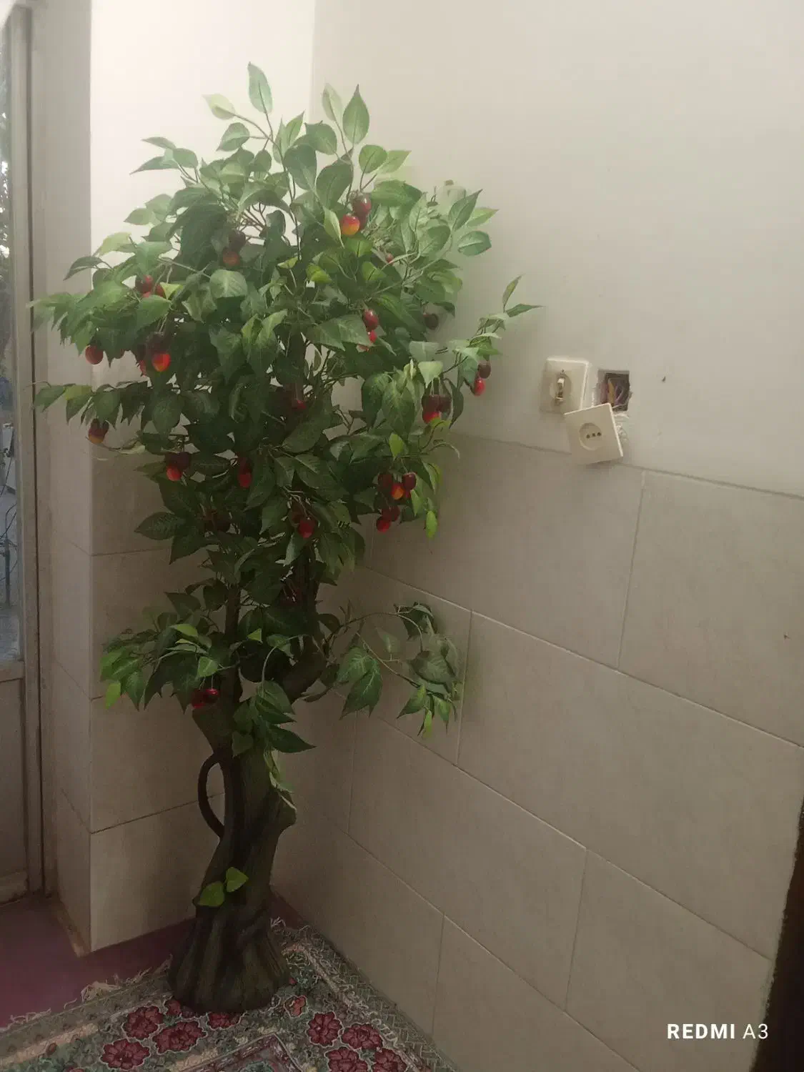 درختچه گیلاس|گل مصنوعی|میبد, |دیوار