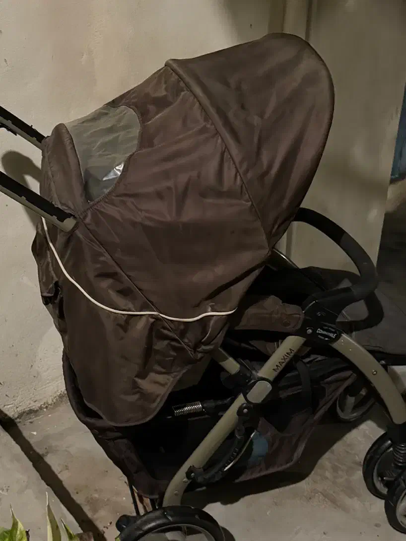 کالسکه|کالسکه و لوازم جانبی|بندرلنگه, |دیوار