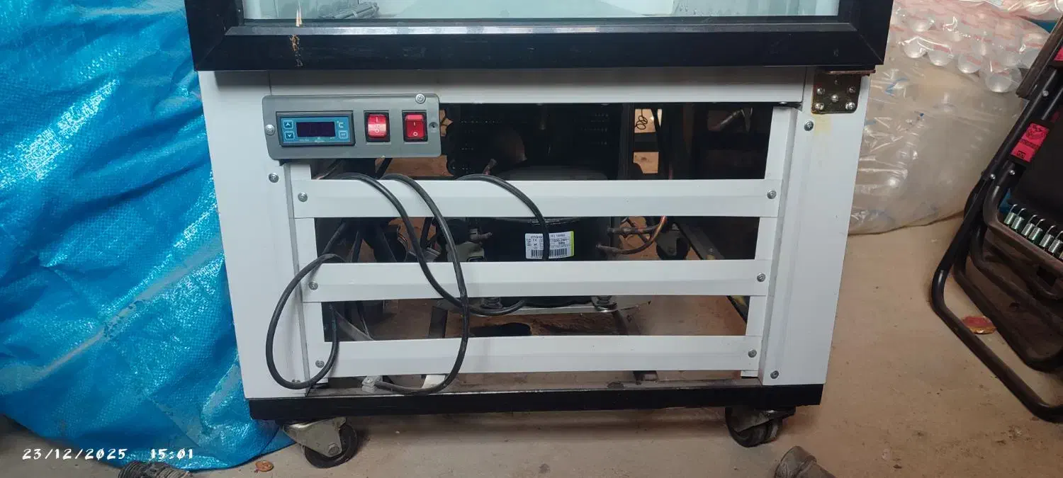 یخچال صنعتی ایستاده|فروشگاه و مغازه|بانه, |دیوار