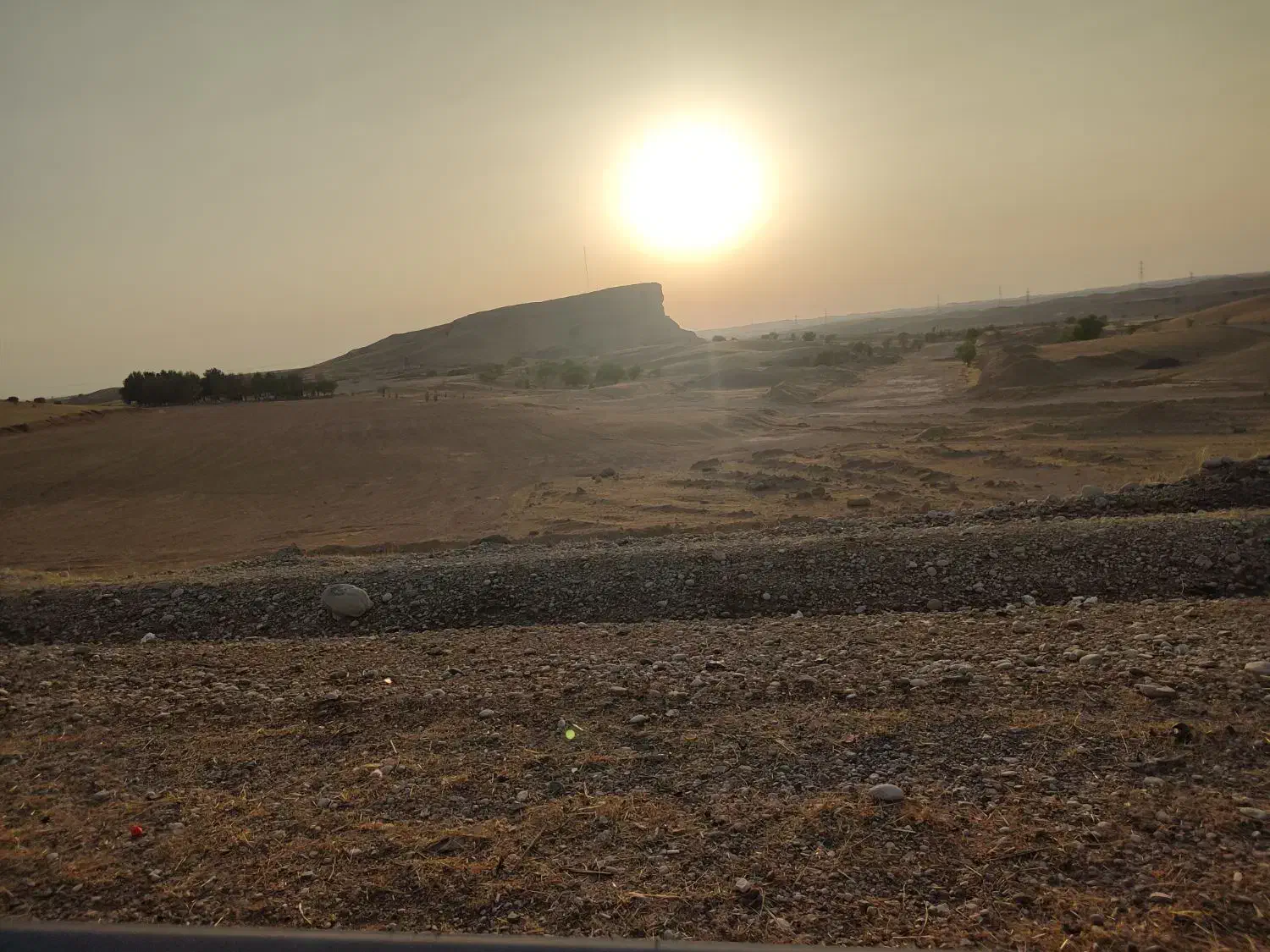 زمین|اجارهٔ دفتر صنعتی، کشاورزی، تجاری|اندیمشک, |دیوار