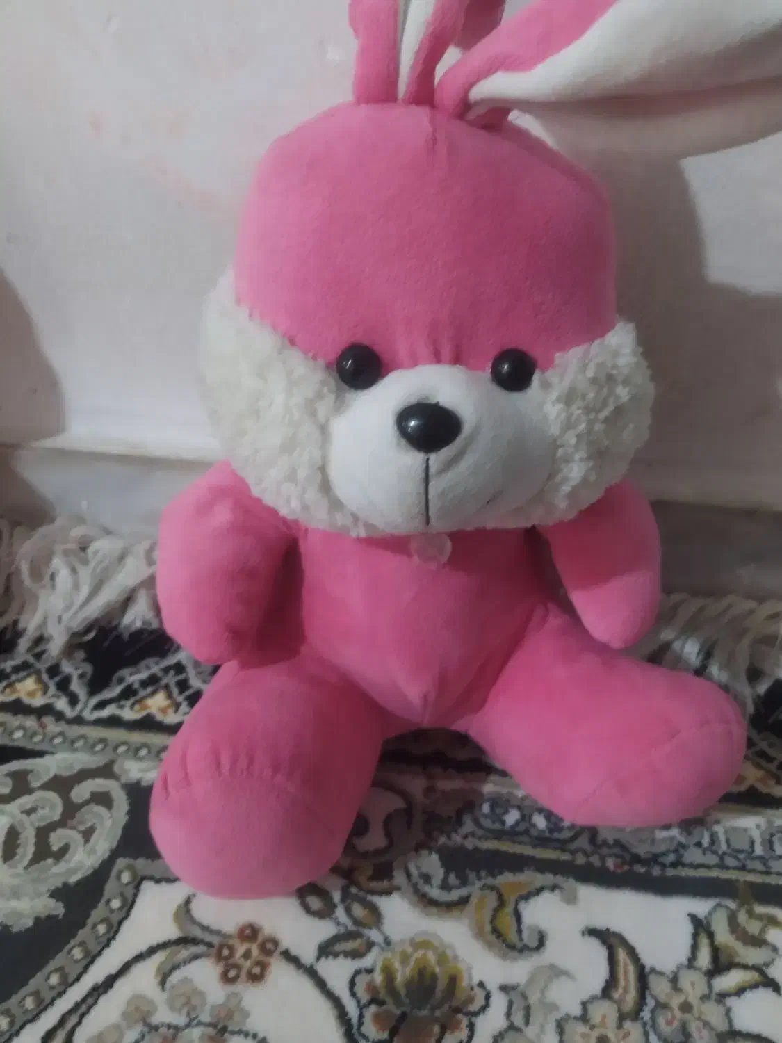 خرس قرمز 100|اسباب‌‌بازی|قم, نیروگاه|دیوار