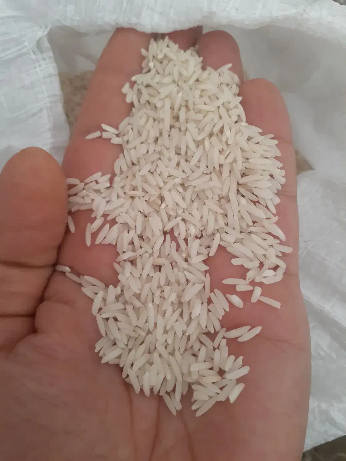 برنج هاشمی الک خورده بدون ناخالصی|خوردنی و آشامیدنی|هشتگرد, فاز ۷ مهستان|دیوار