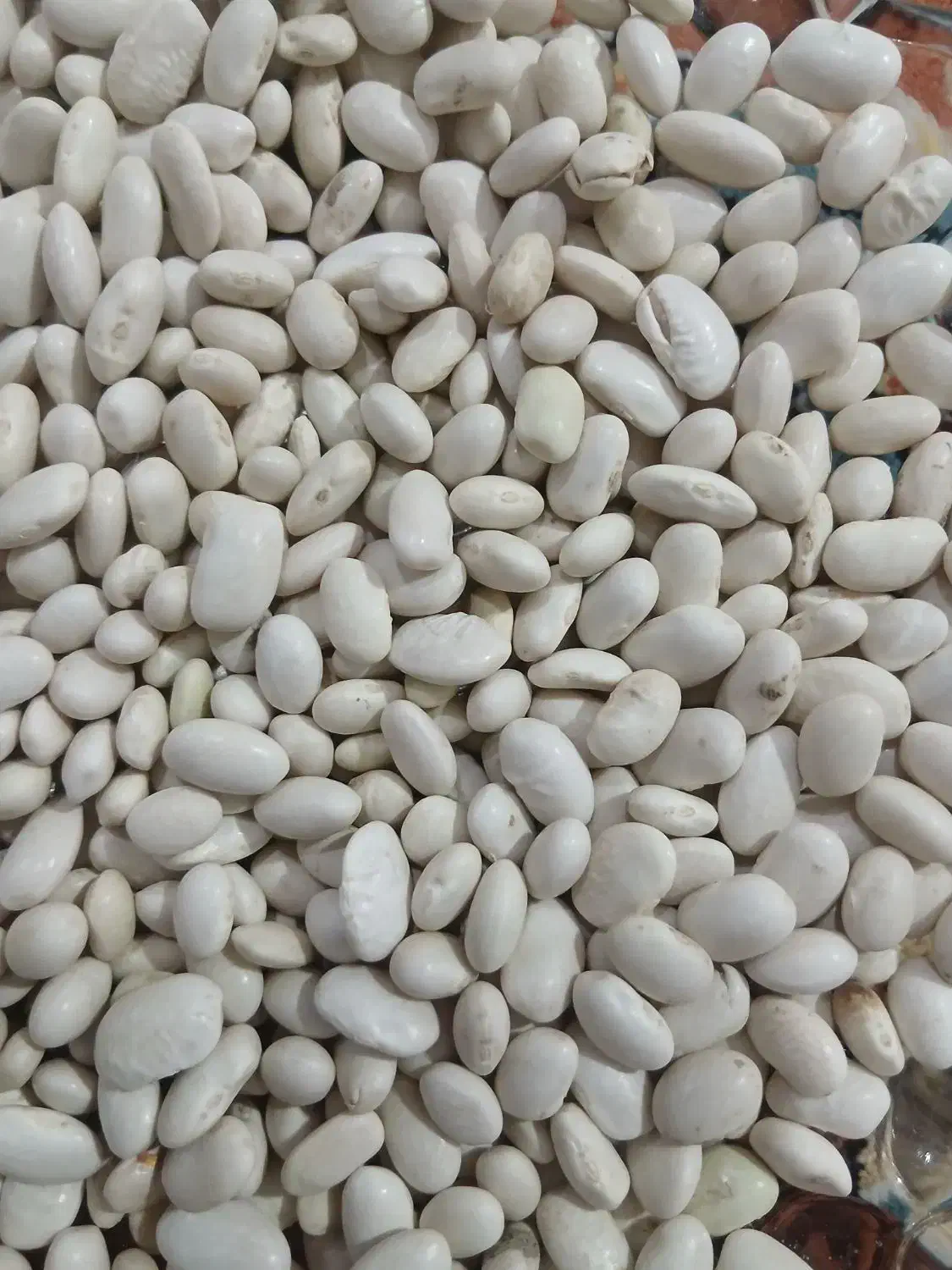 فروش لوبیا سفید|خوردنی و آشامیدنی|صحنه, |دیوار