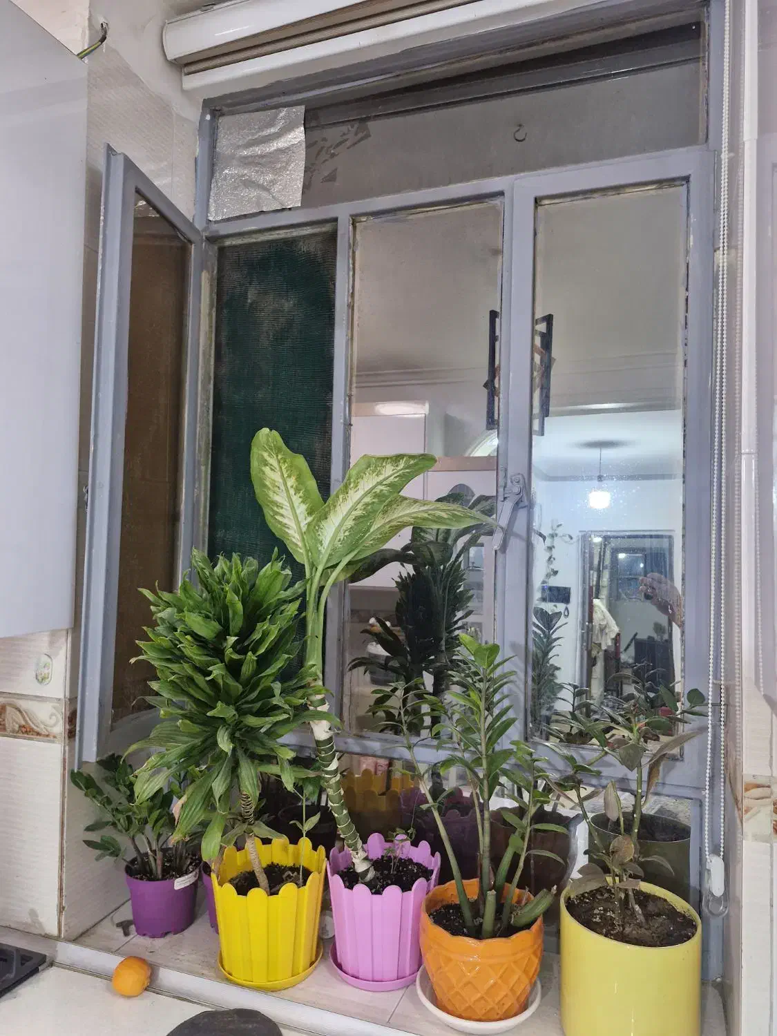 پنجره اهنی|مصالح و تجهیزات ساختمان|بندرعباس, |دیوار