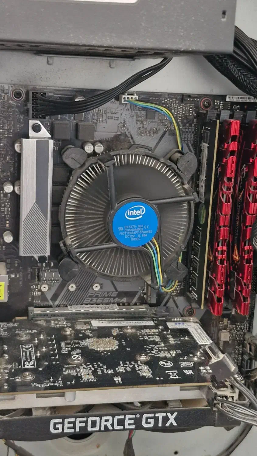 گرافیک GTX 1650 Gainward خانگی|قطعات و لوازم جانبی رایانه|شیراز, شهرک ایثار|دیوار