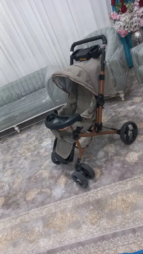 کالسکه|کالسکه و لوازم جانبی|بدره, |دیوار