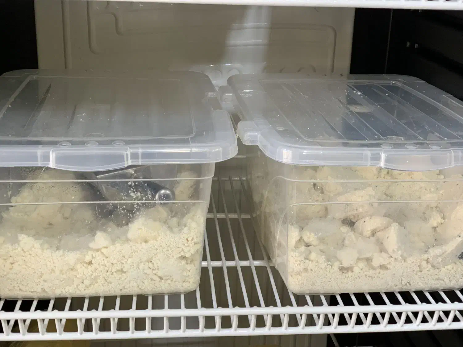 پنیر|خوردنی و آشامیدنی|ارومیه, |دیوار