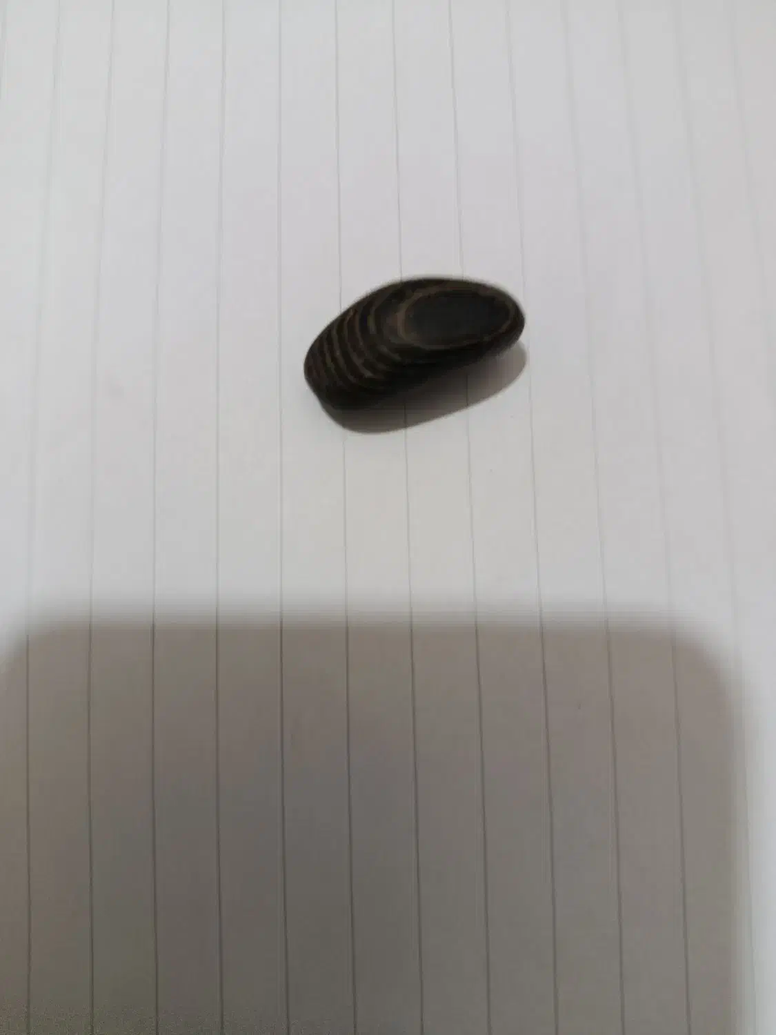 فروشی قیمت توافقی|کلکسیون اشیاء عتیقه|نی‌ریز, |دیوار