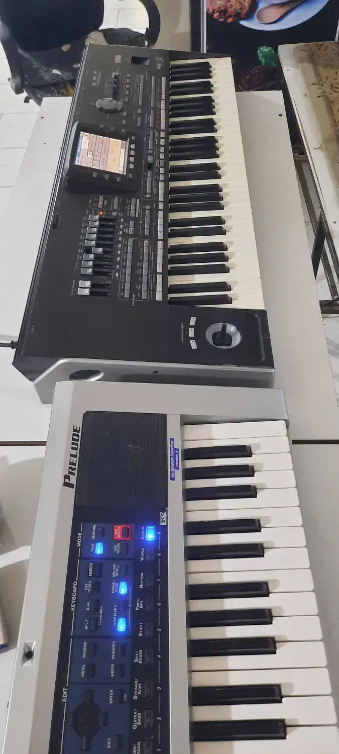 ارگ رولند پریلود|پیانو، کیبورد، آکاردئون|پارس‌آباد, |دیوار