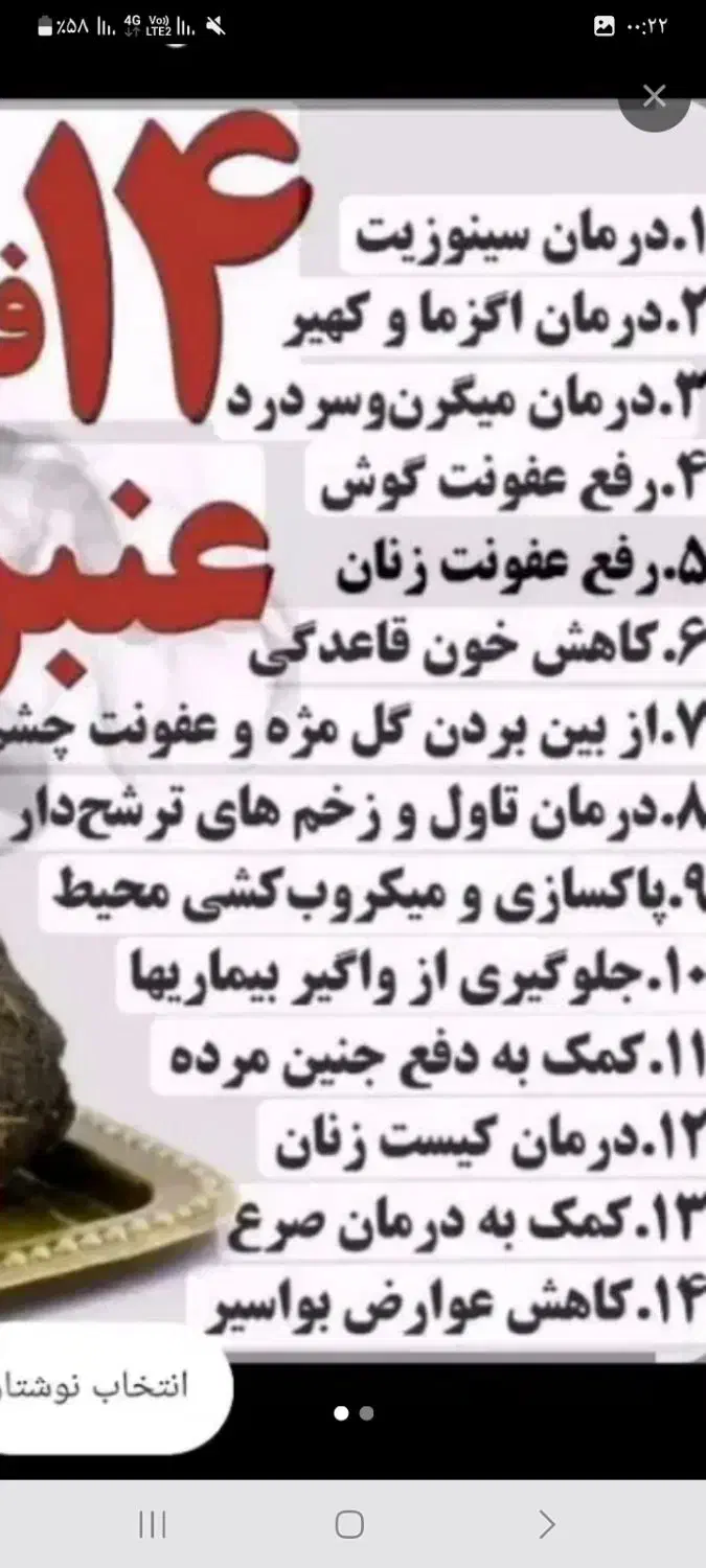 عنبر نسارا از ماچ خر ماده تمیز ۱۰۰تومان|خوردنی و آشامیدنی|تربت‌حیدریه, کلاته توکلی|دیوار