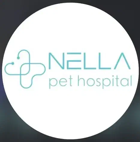 پذیرش بیمارستان دامپزشکی|استخدام درمانی، زیبایی، بهداشتی|تهران, جماران (نیاوران)|دیوار