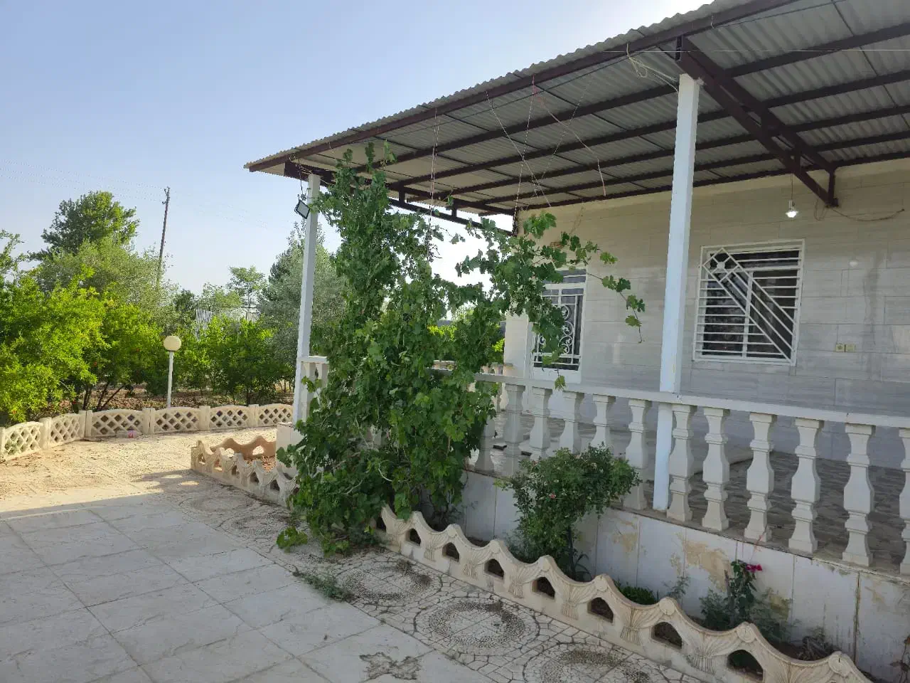 باغ انواع میوه|فروش زمین و ملک کلنگی|قم, دانش|دیوار