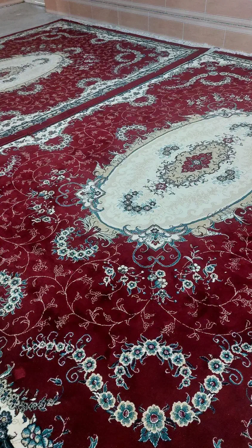 دوتا قالی|فرش|برازجان, |دیوار