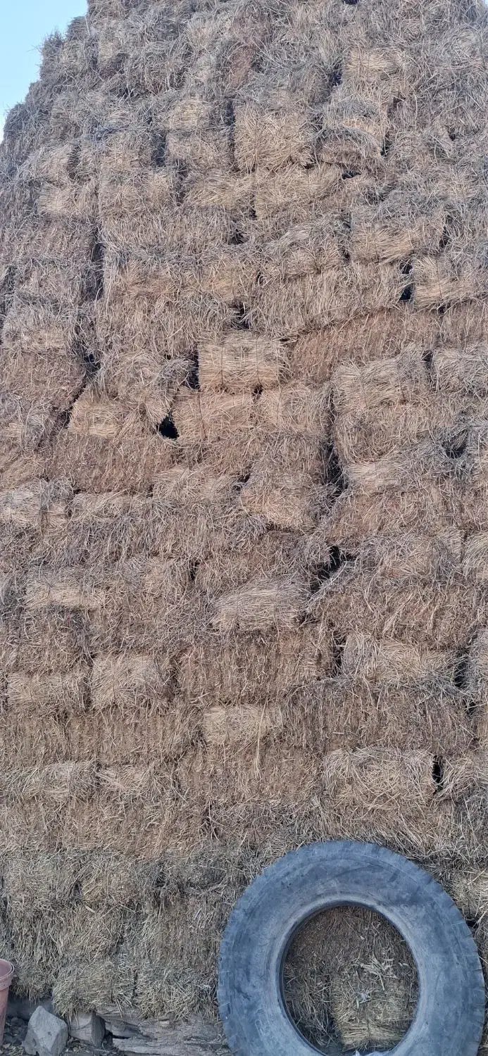یونجه خالص پشه دورا پرس شده|خدمات باغبانی و درختکاری|اردبیل, |دیوار