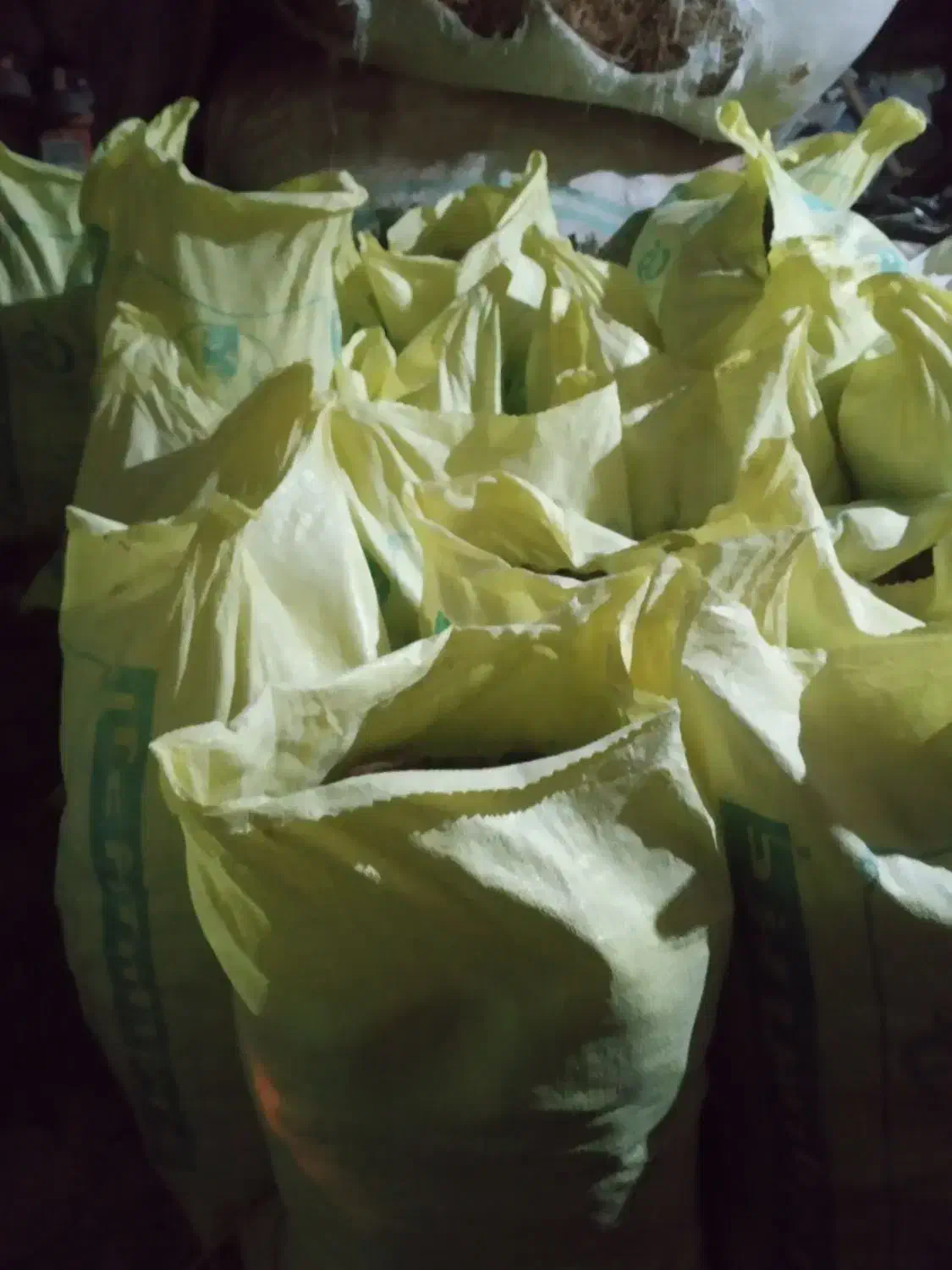 کود|گل و گیاه طبیعی|یزد, |دیوار