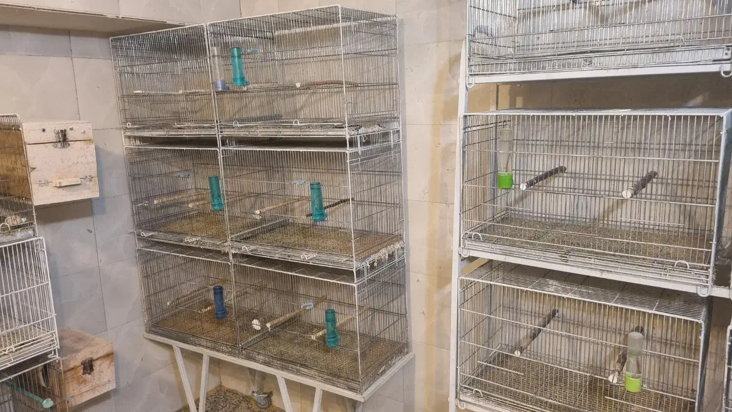 قفس|لوازم جانبی حیوانات|شهرکرد, |دیوار