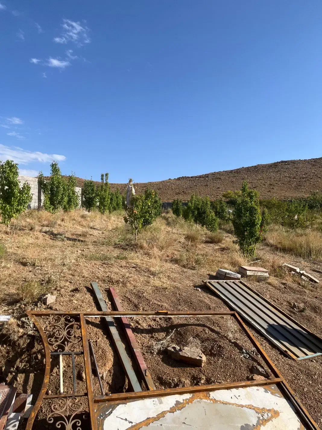 ۴۰قصب باغ کرمان لاله زار قلعه عسکر|فروش خانه و ویلا|لاله زار, |دیوار