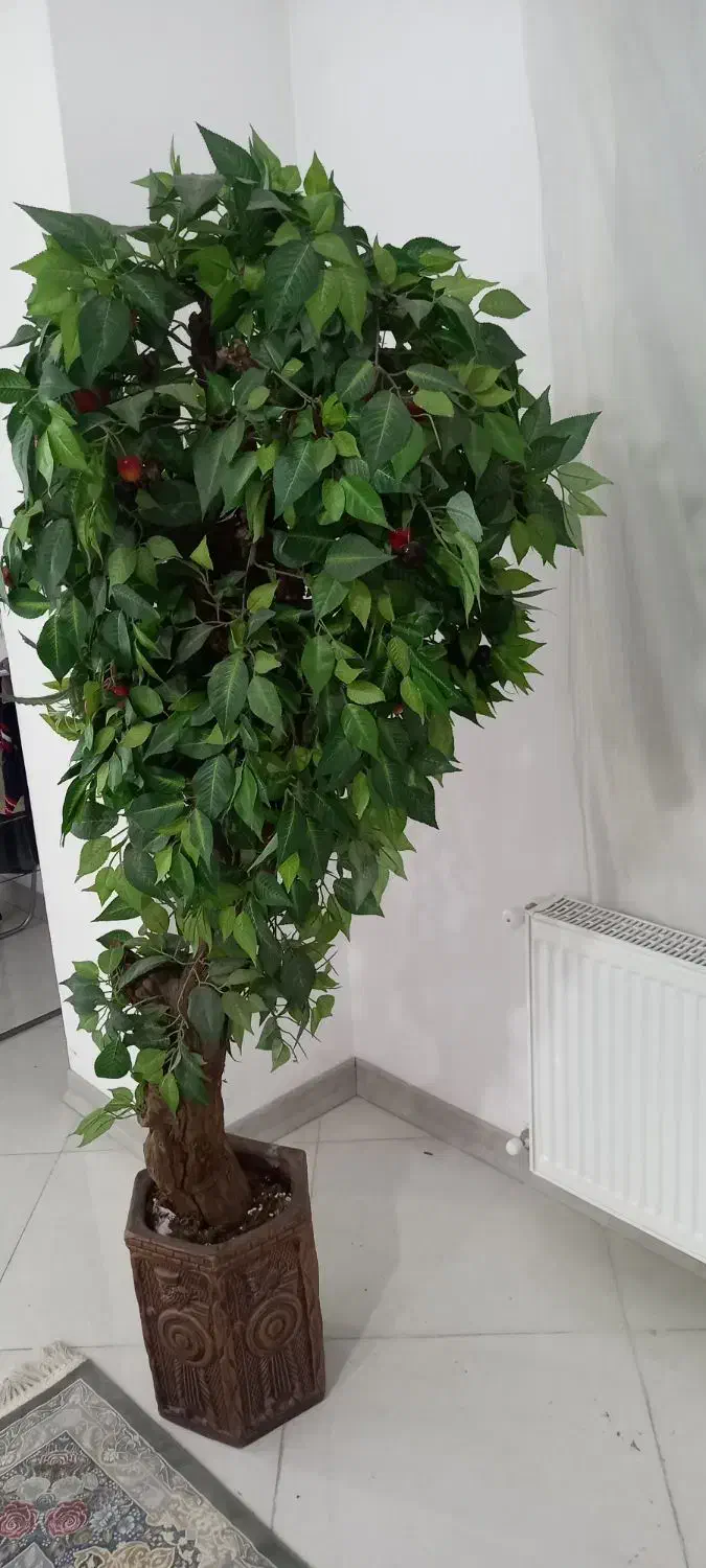 درخت گیلاس با تنه طبیعی گل و گلدون اشانتیون|گل مصنوعی|اسلامشهر, شهرک واوان|دیوار