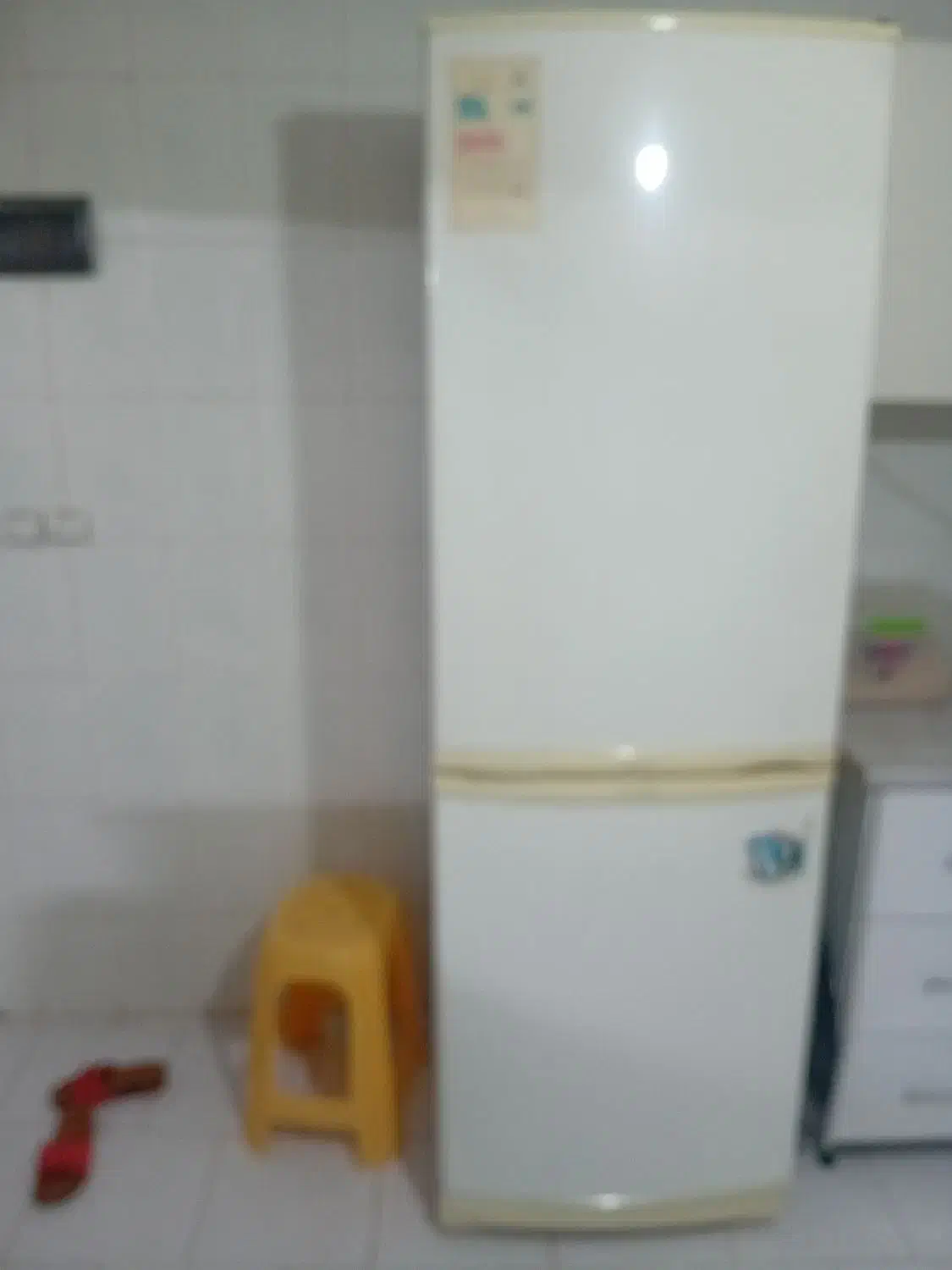 یخچال وفریزر|یخچال و فریزر|ابهر, |دیوار