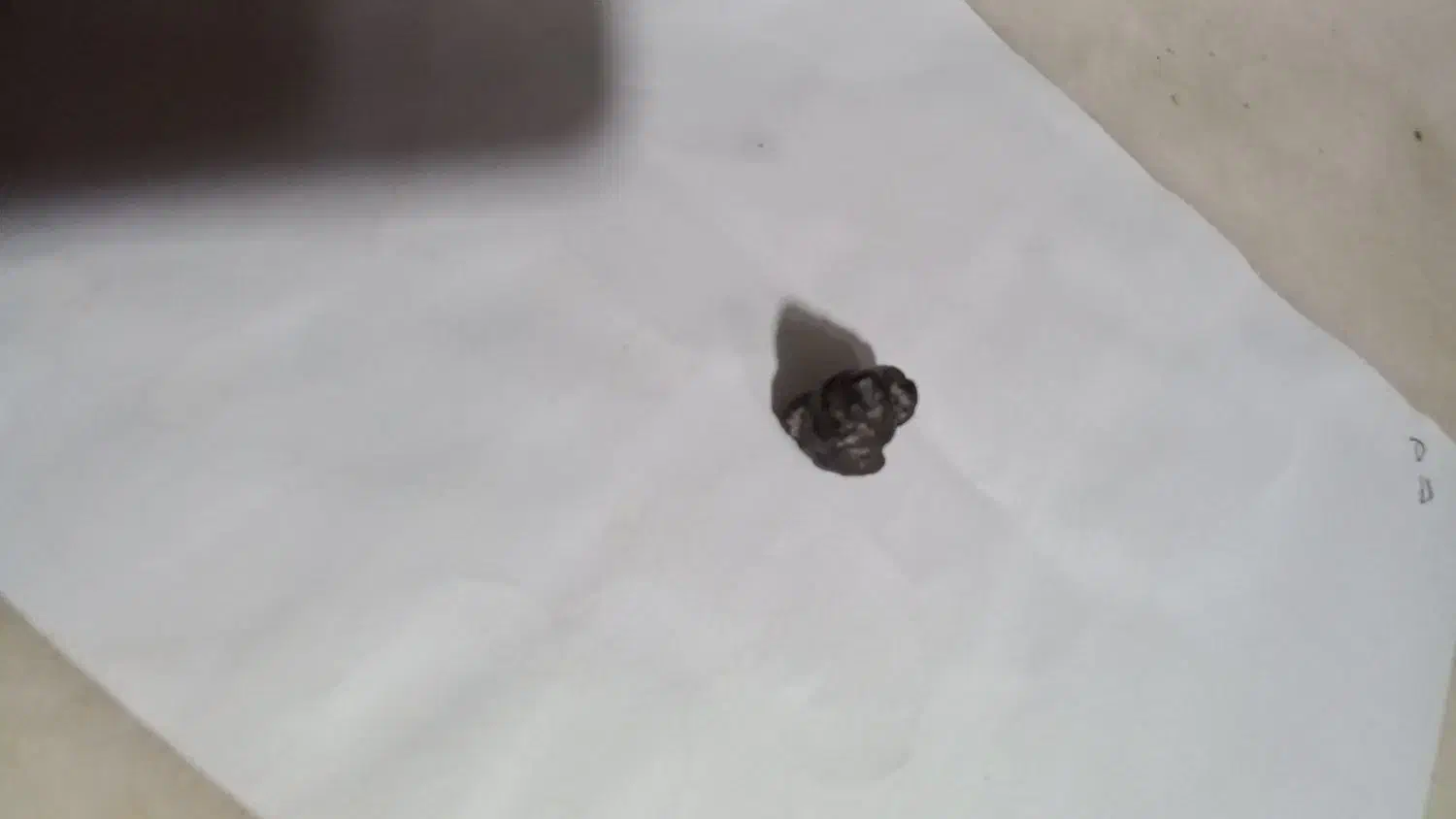 مشکوک به شهاب سنگ|کلکسیون اشیاء عتیقه|رشت, کوی جام جم|دیوار