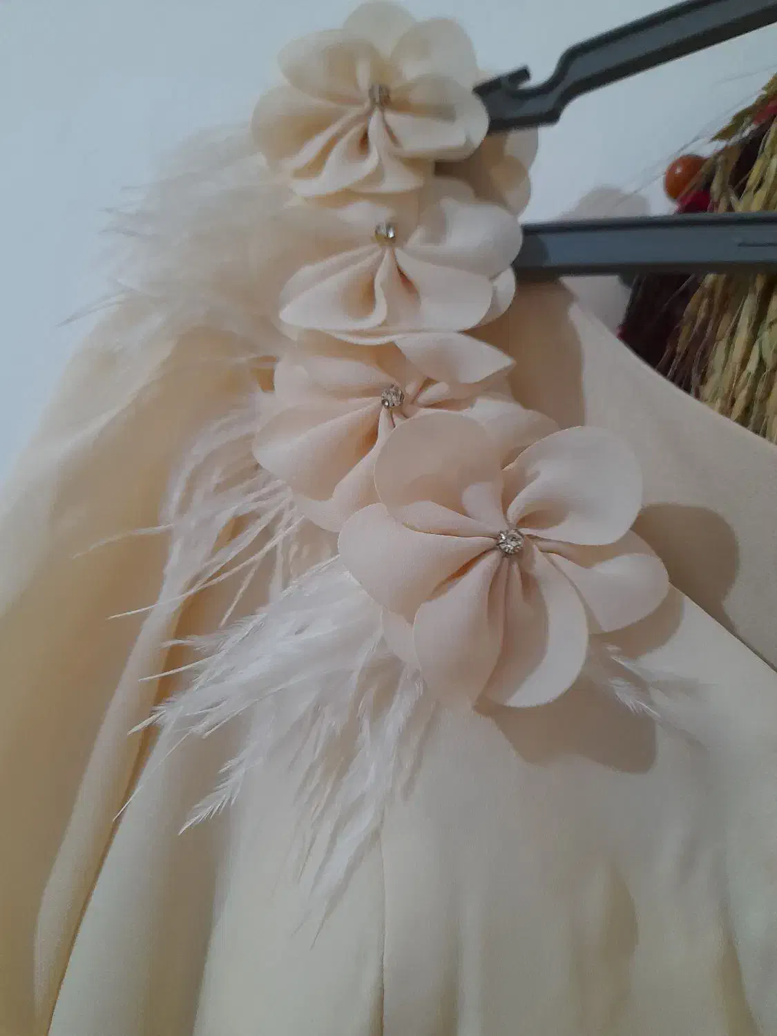 لباس مجلسی|لباس|گوراب زرمیخ, |دیوار