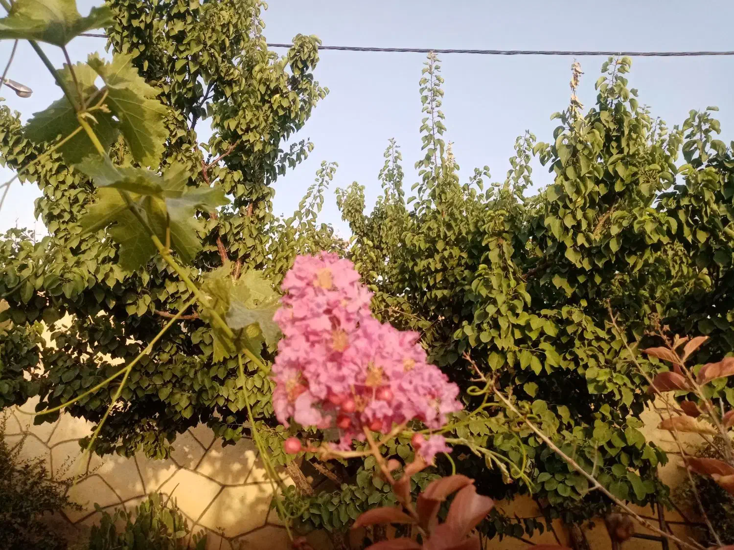 خانه ویلای مسکونی کلاکوب شاهنامه جاده کلات|فروش خانه و ویلا|مشهد, کلاکوب|دیوار