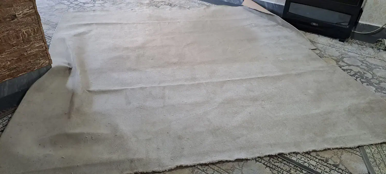 موکت پالاز موکت ۳در۳|موکت|بروجرد, |دیوار