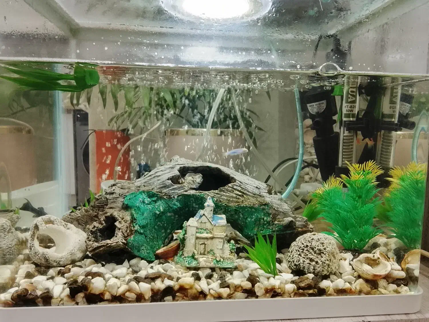 اکواریوم با لوازم|ماهی|ایلام, |دیوار