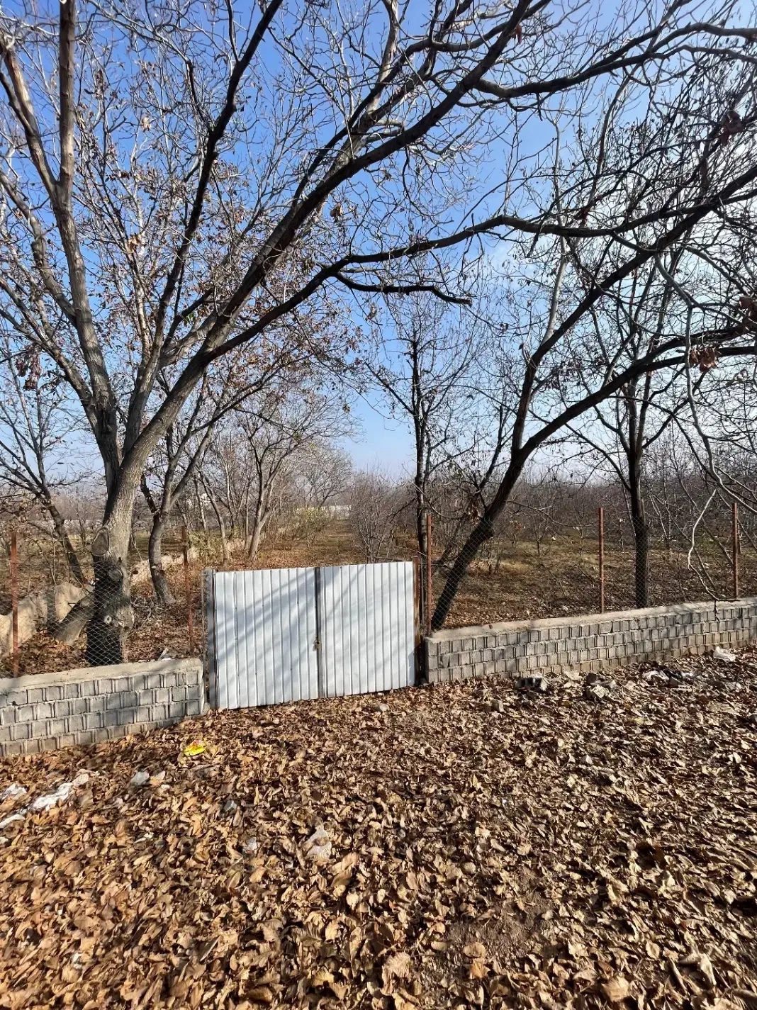 باغ بر جاده خوی چالدران|فروش زمین و ملک کلنگی|فیرورق, |دیوار