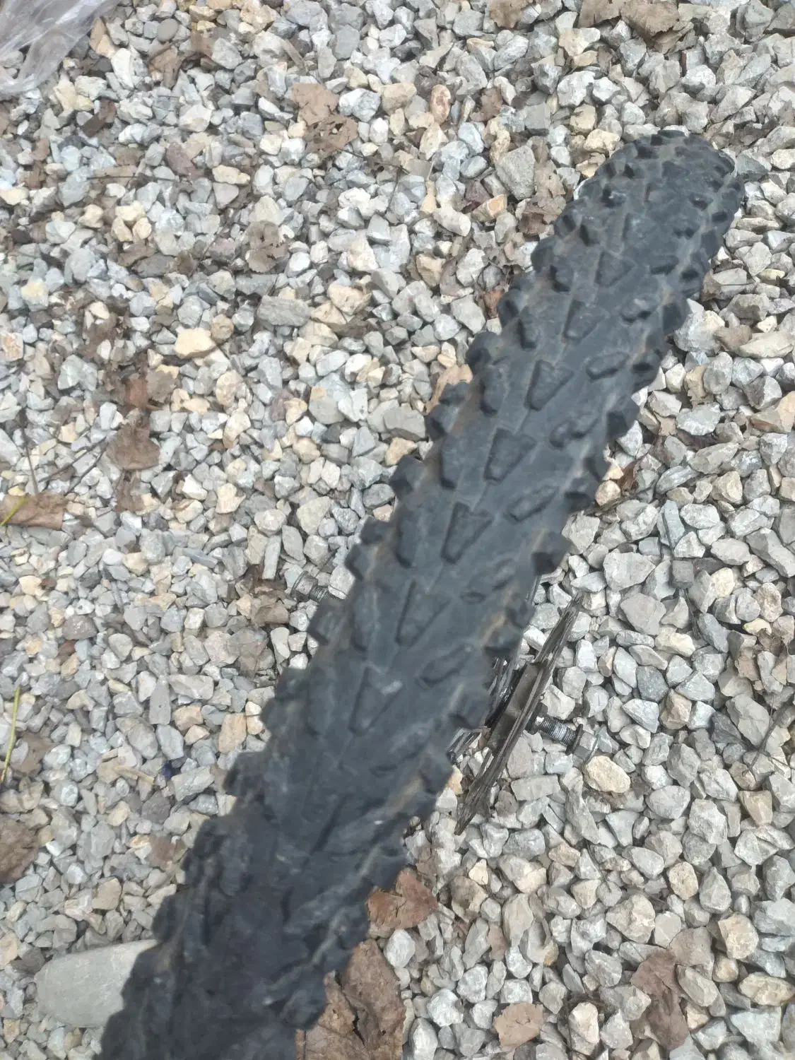 لاستیک دوچرخه|دوچرخه، اسکیت، اسکوتر|بندر انزلی, پیل علی باغ|دیوار