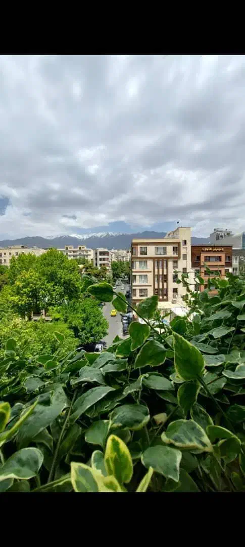 ۱۰۰ متر تجاری بر اصلی دولت|اجارهٔ مغازه و غرفه|تهران, اختیاریه|دیوار