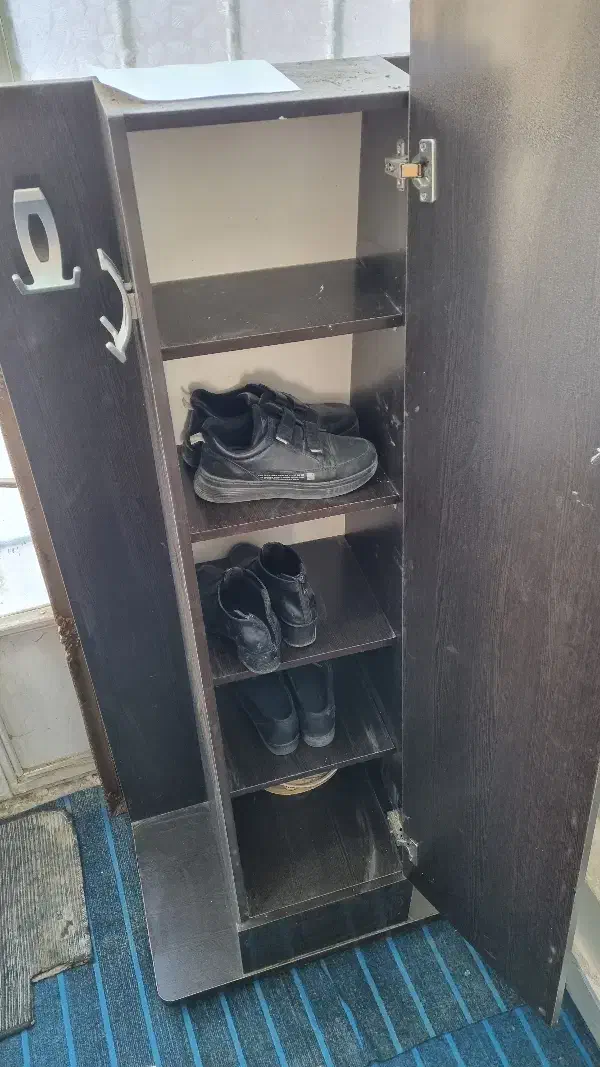 جا کفشی ایستاده آیینه دار|جاکفشی، کمد، دراور|ایلام, |دیوار