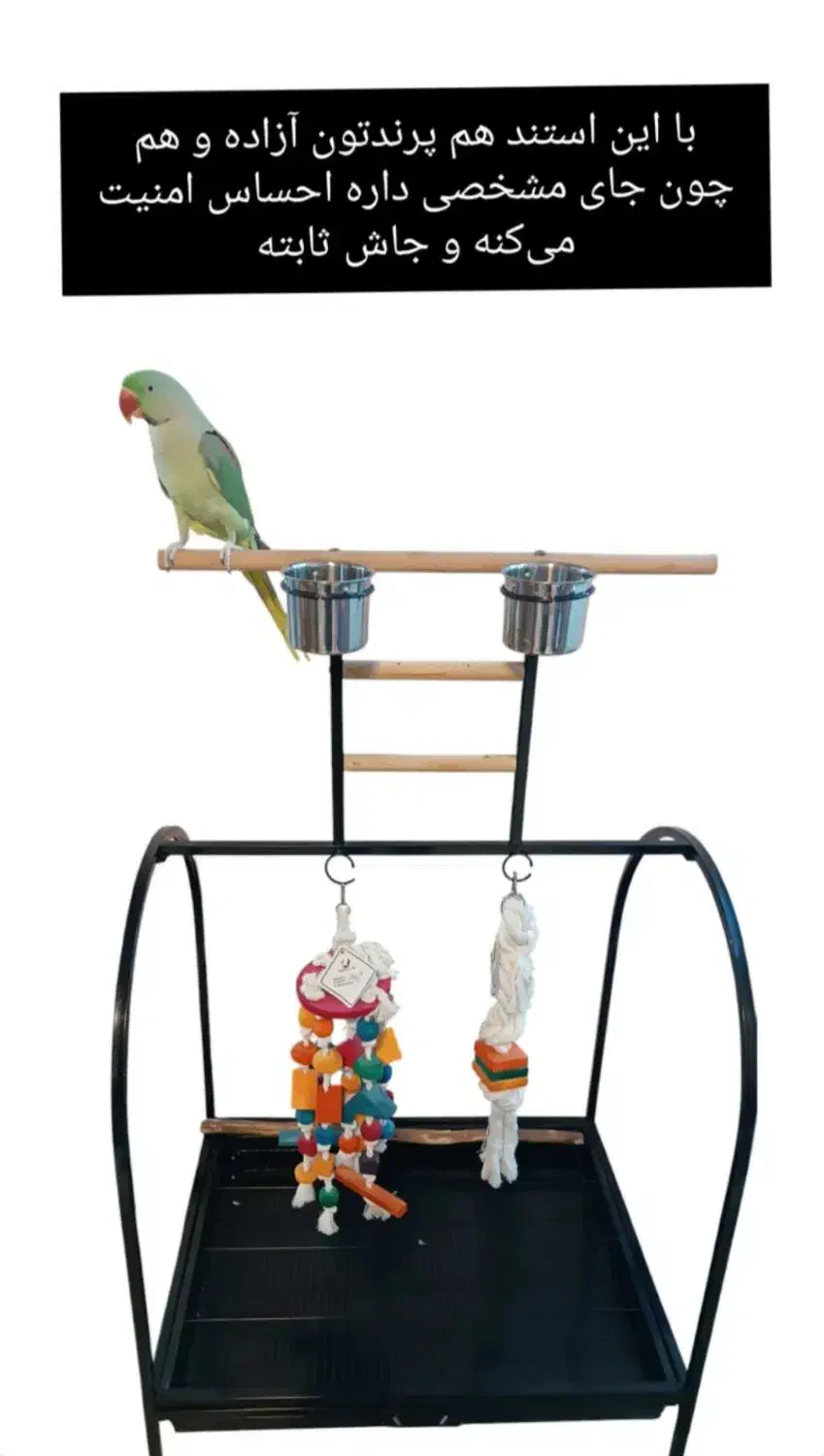 قفس فلزی پرنده|لوازم جانبی حیوانات|اصفهان, شاهزید|دیوار